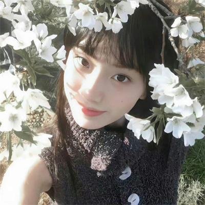 双子座计划
